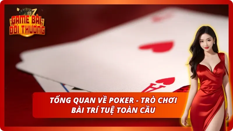 Góc nhìn chi tiết về Poker - Trò chơi trí tuệ hấp dẫn