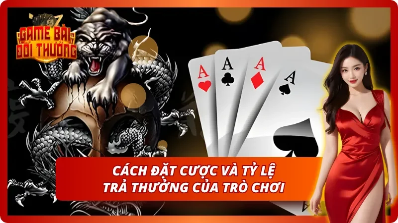 Tỷ lệ trả thưởng và cách đặt cược Rồng Hổ
